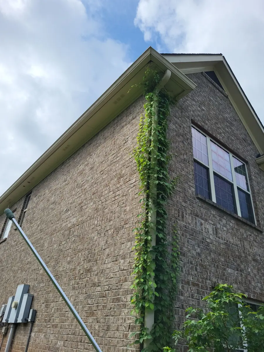 Finished gable roof with gutters and ivy covered brick wall, Southern Premier Roofing work near Carl GA