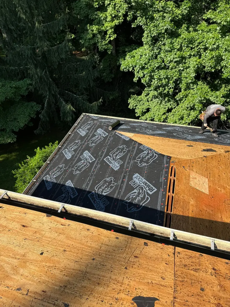 Roof section showing synthetic underlayment, exposed decking, and worker beside surrounding trees