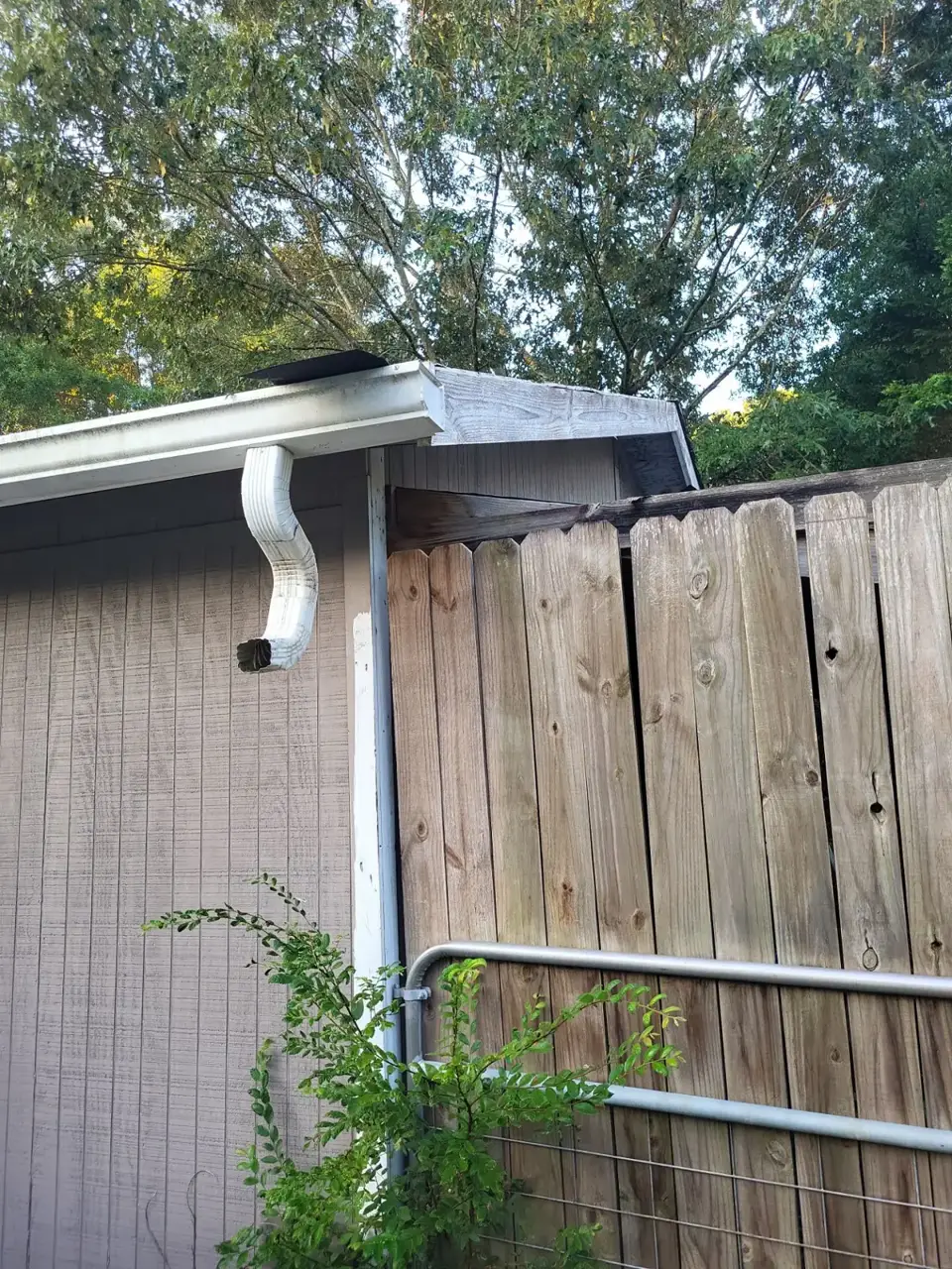 Outbuilding roof edge with gutter and downspout beside a weathered wooden fence