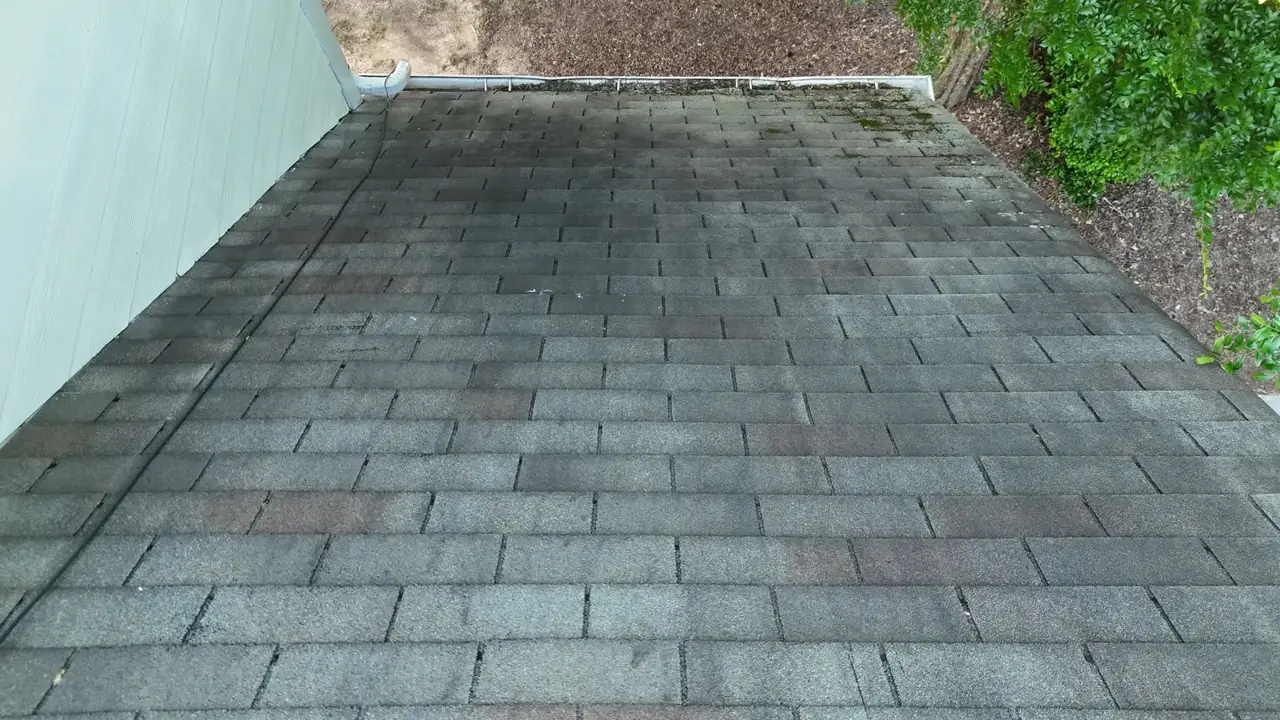Weathered asphalt shingle roof beside siding and trees in Duluth, Georgia