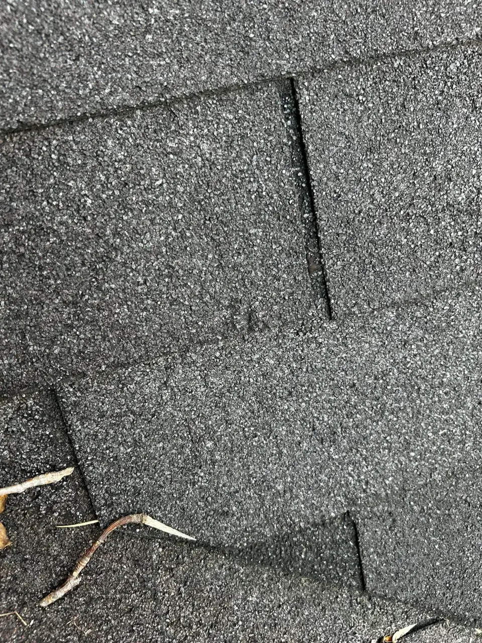 Gray asphalt roof shingles with visible seams and scattered natural debris