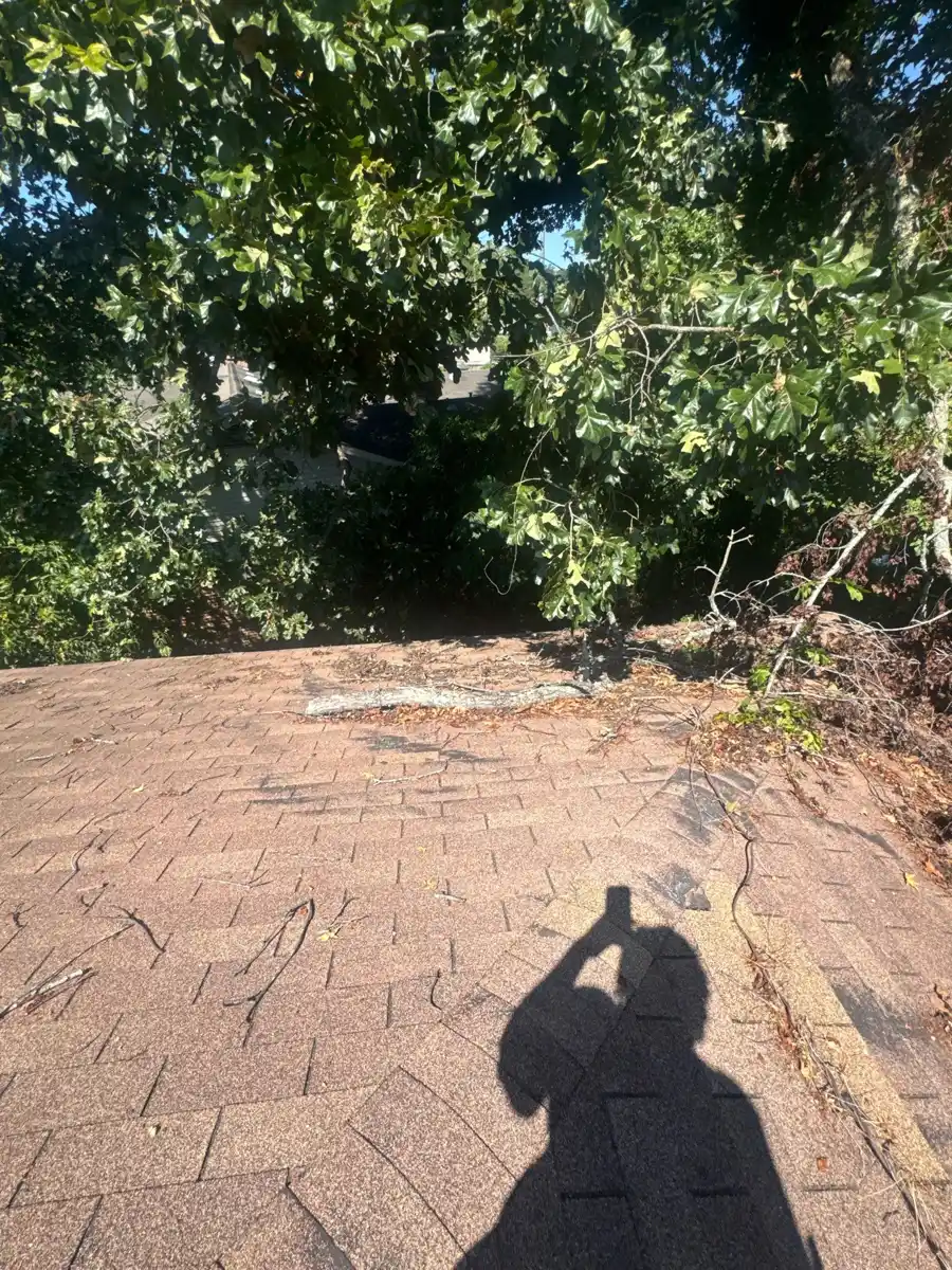 Completed shingle roof surrounded by trees and visible installer shadow, Southern Premier Roofing work near Mulberry GA