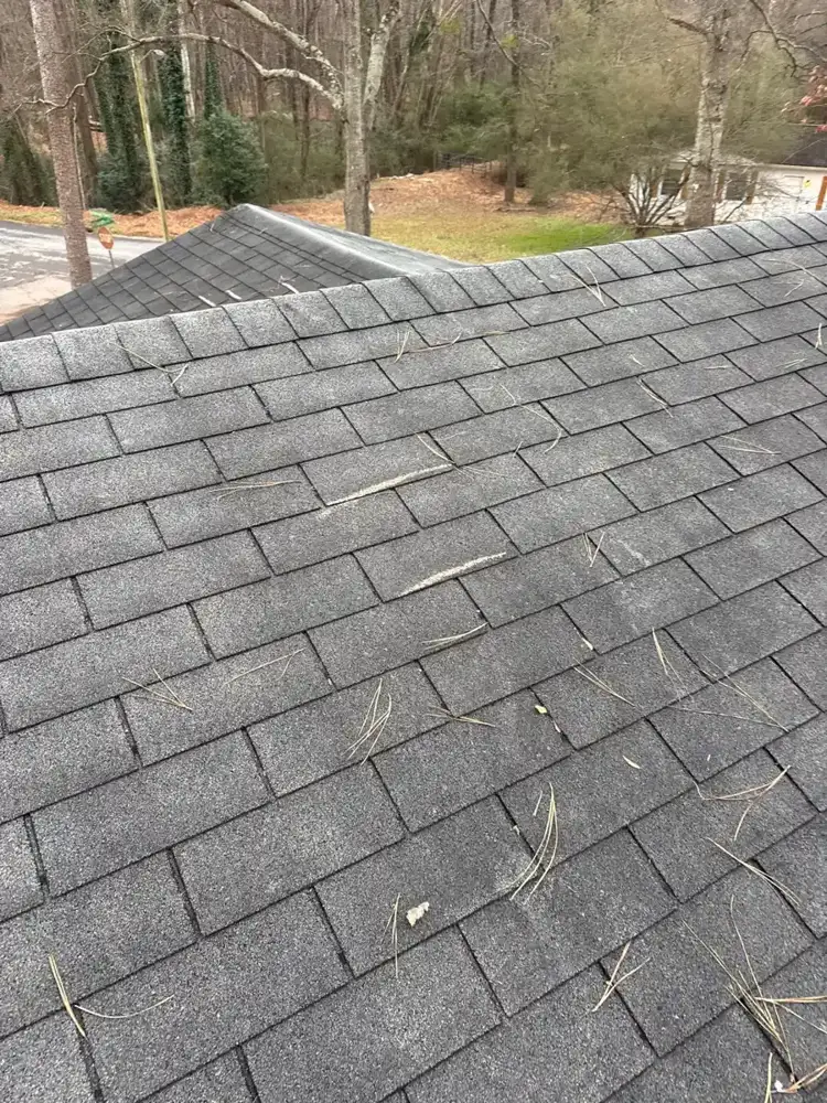 Wide roof view showing layered asphalt shingles and surrounding trees, Southern Premier Roofing work near Nicholson GA
