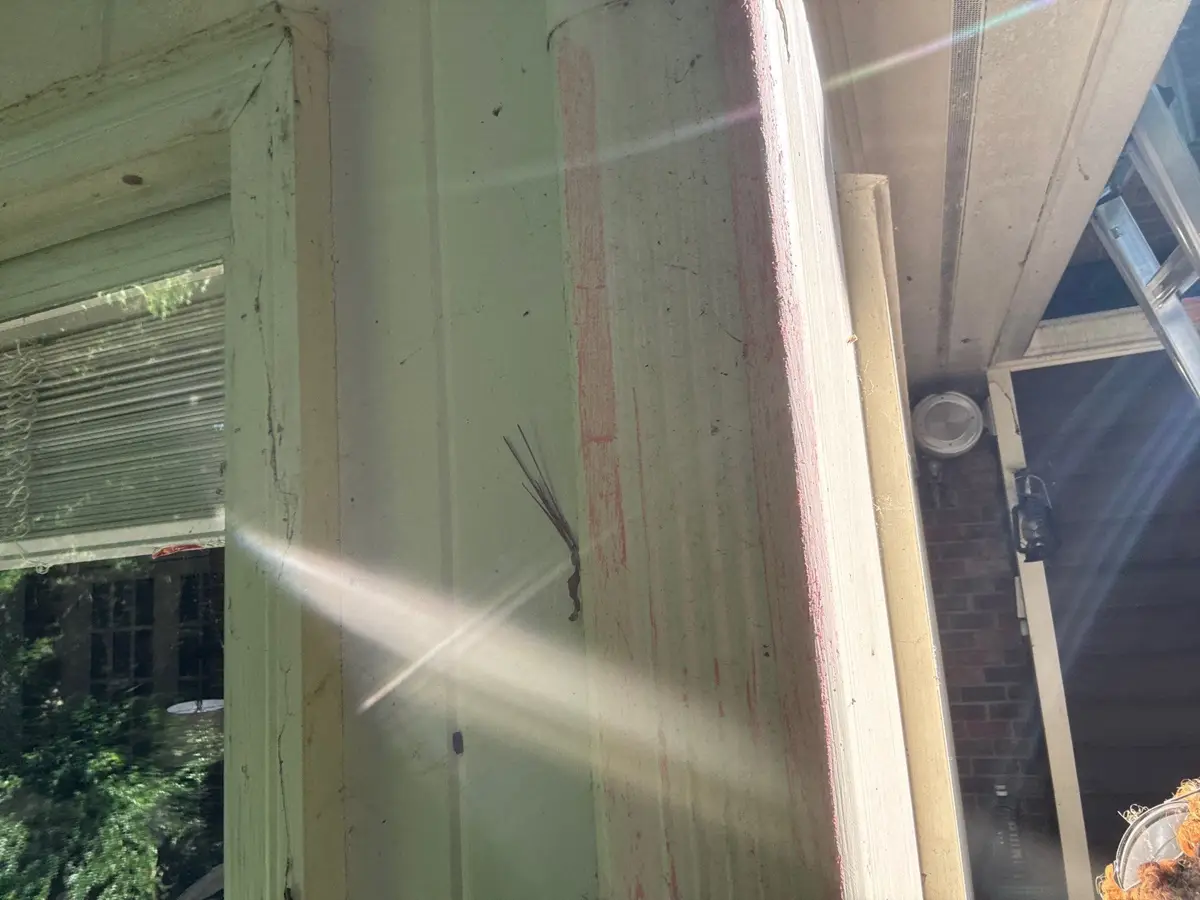 Close view of painted trim and roof edge beside siding, Southern Premier Roofing work near Watkinsville GA