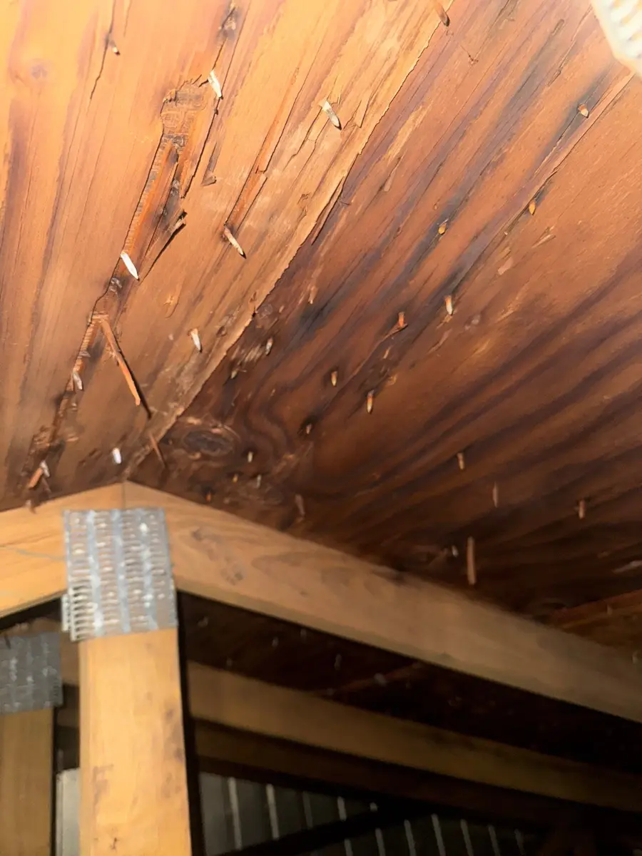 Wooden roof decking showing numerous exposed fasteners and damage, Southern Premier Roofing work near Bethlehem GA