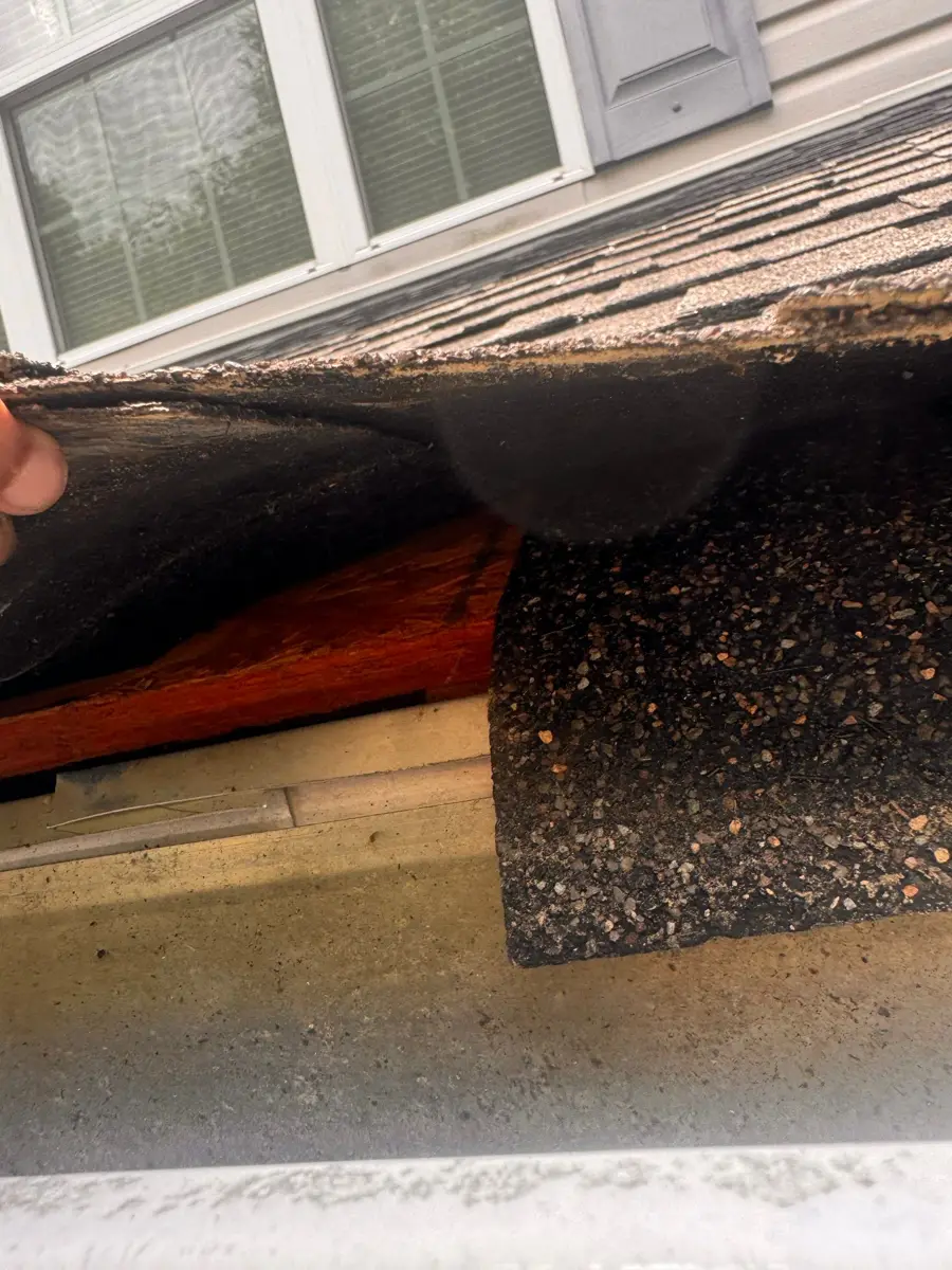 Close-up showing lifted shingles and exposed roofing underlayer, Southern Premier Roofing work near Homer GA