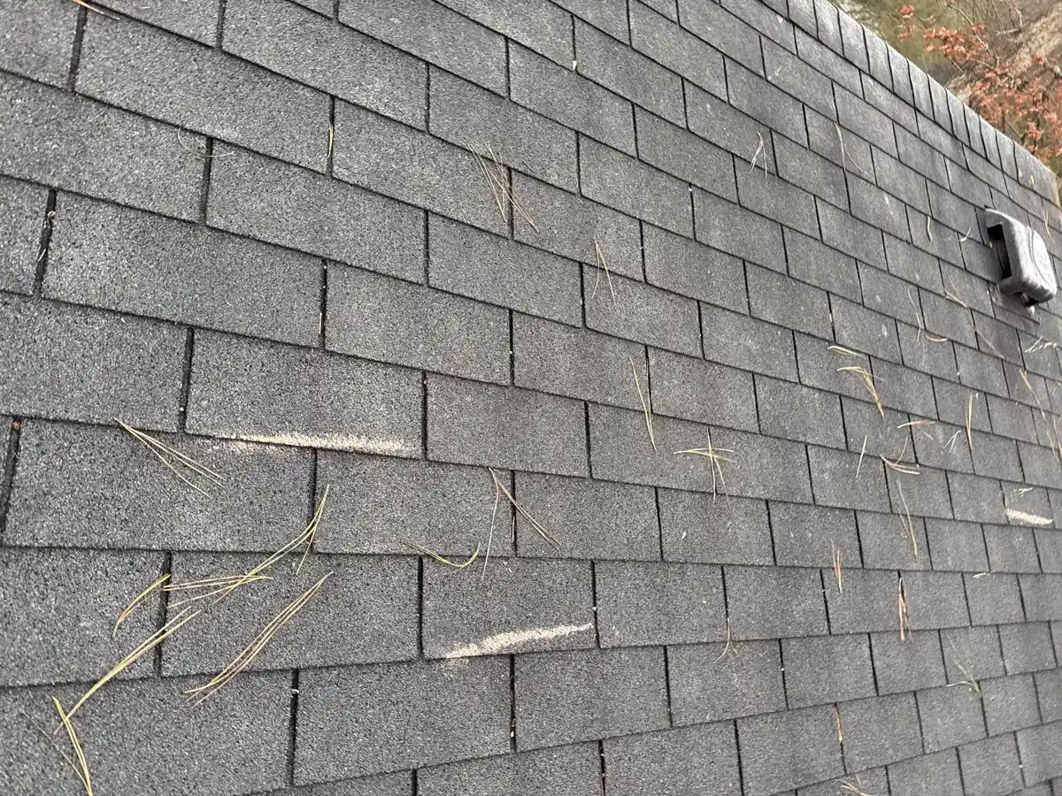 Close view of damaged shingles with pine needles and lifted edges, Southern Premier Roofing work near Jersey GA