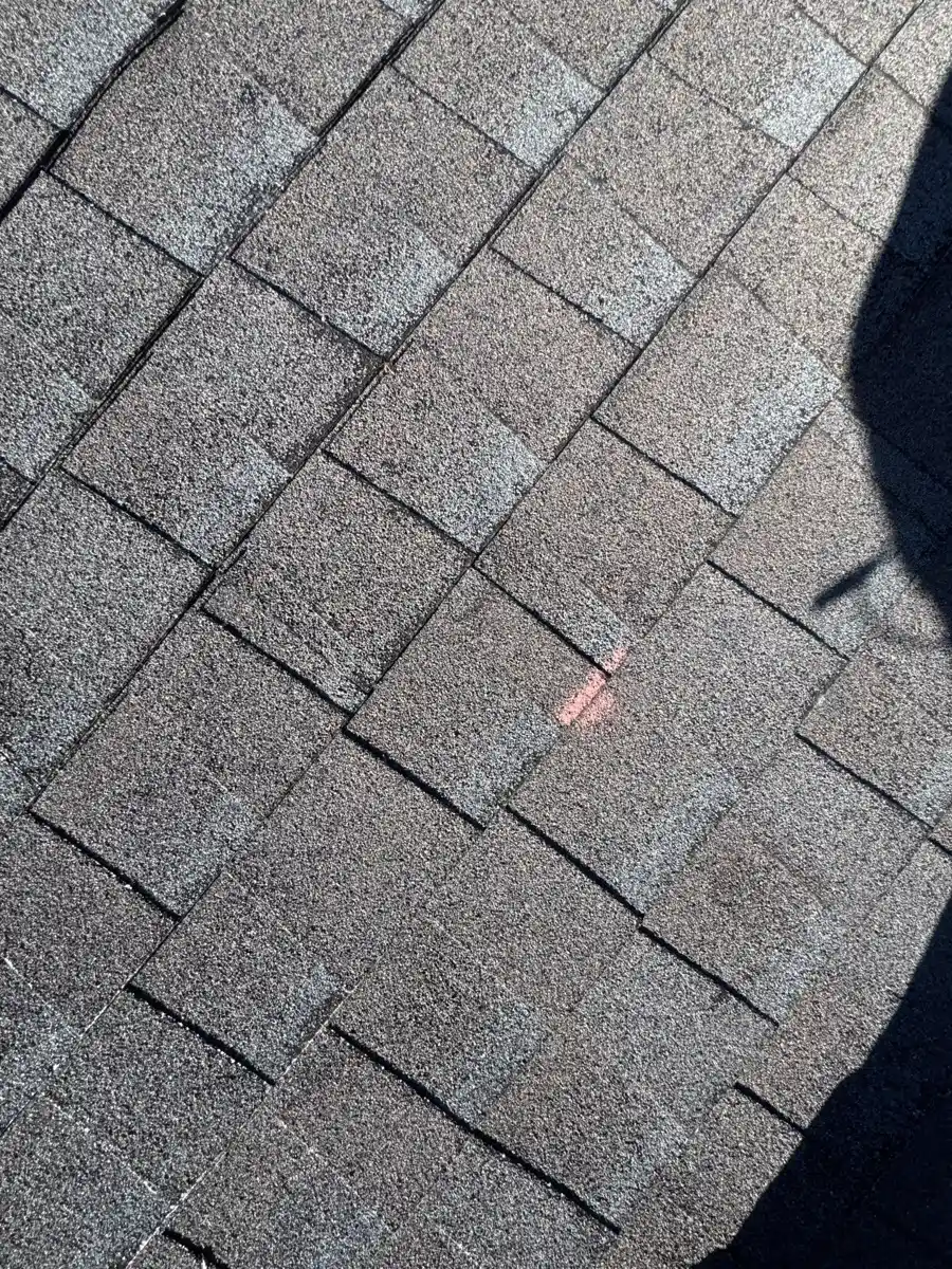 Close-up of roof shingles showing marked damaged area, Southern Premier Roofing work near Lula GA