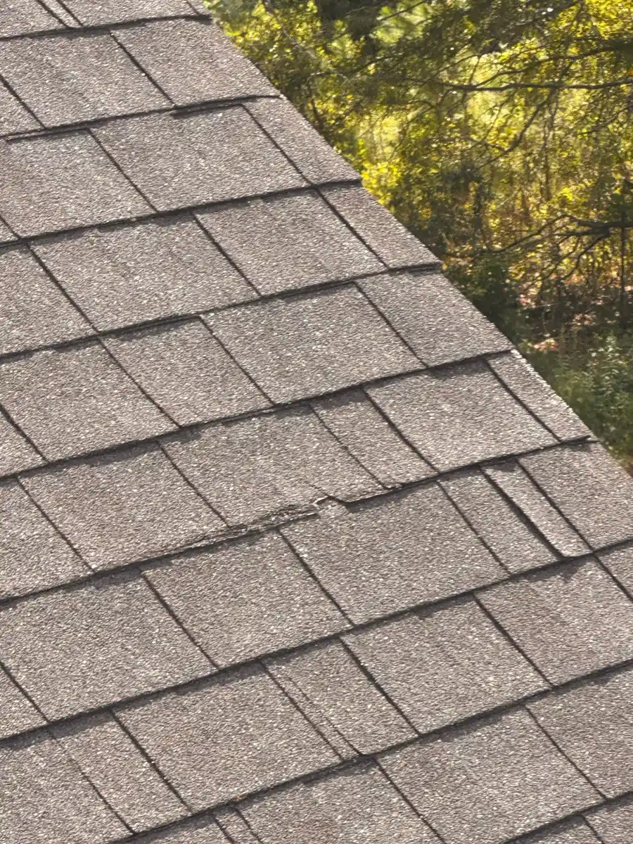 Clean shingle roof slope with aligned courses and visible trees, Southern Premier Roofing work near Social Circle GA