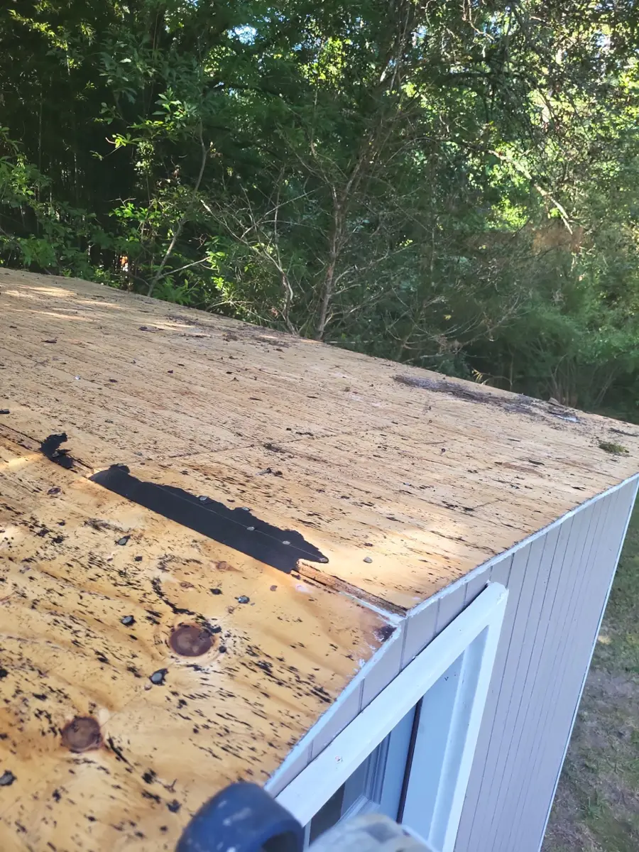 Exposed roof decking beside white gable edge and surrounding trees, Southern Premier Roofing work near Statham GA
