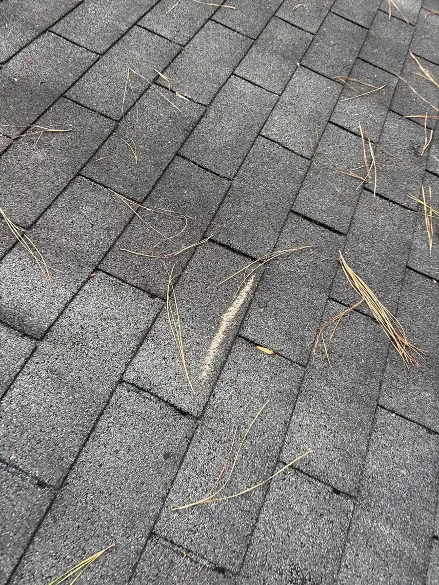 Close view of cracked shingles with scattered pine needles, Southern Premier Roofing work near Suwanee GA
