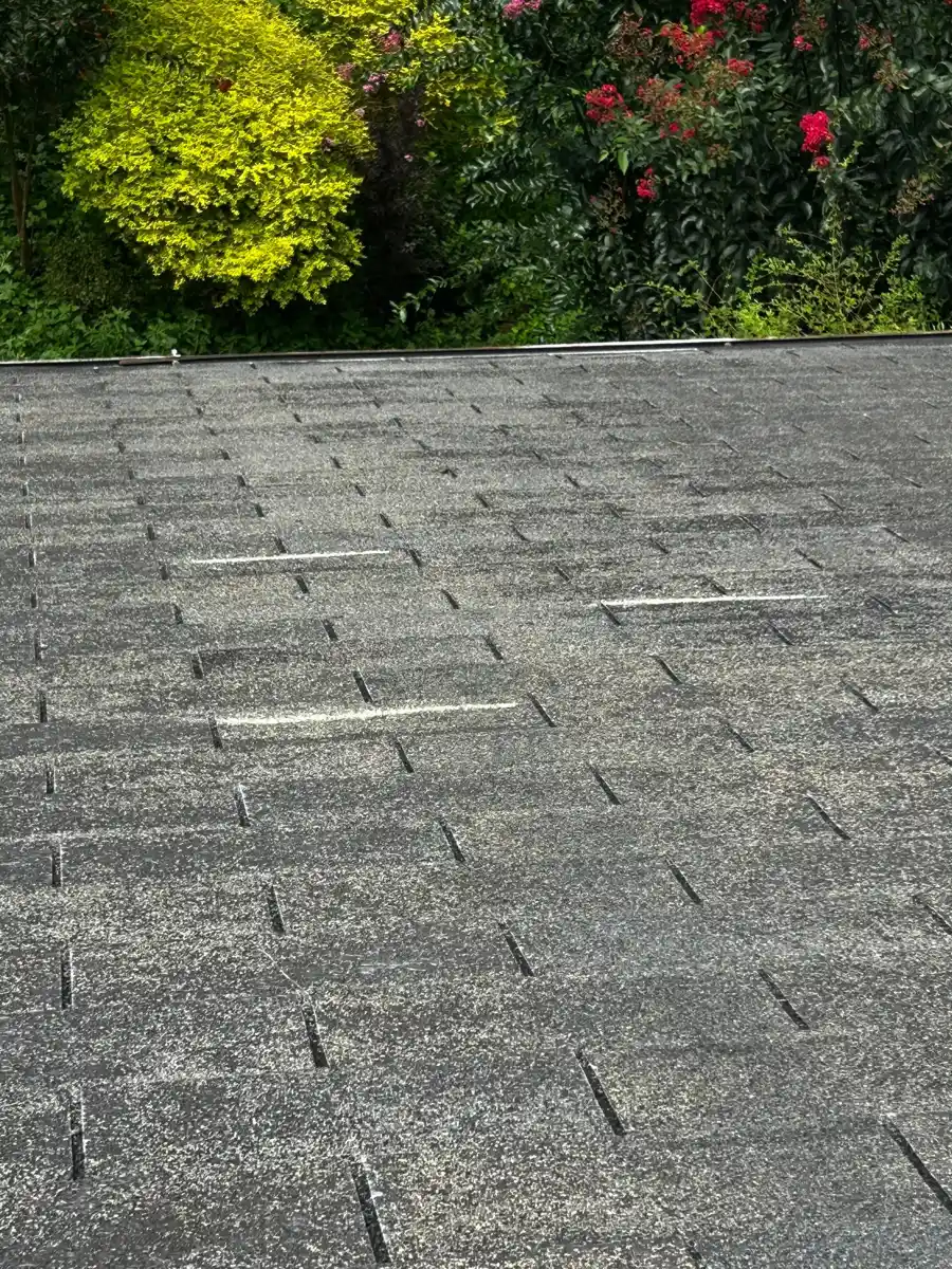 Broad gray shingle roof bordered by dense green landscaping, Southern Premier Roofing work near Talmo GA