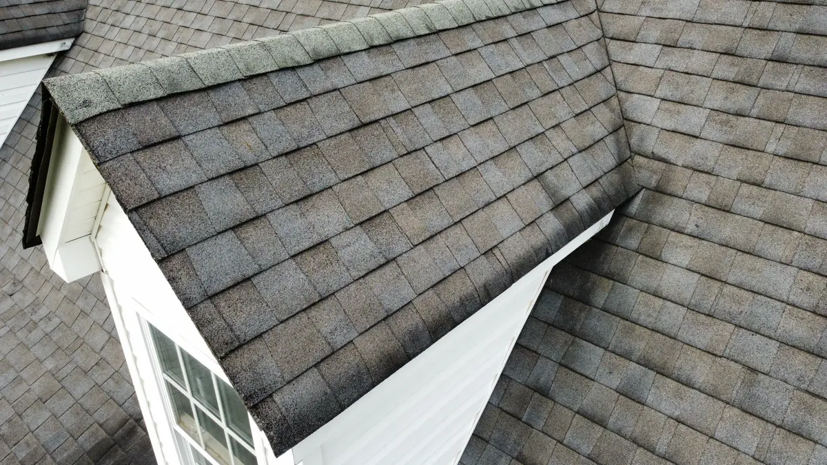 Angled view of shingled roof beside white exterior siding, Southern Premier Roofing work near Walnut Grove GA
